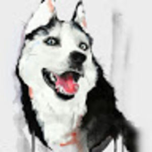 Meet your Posher, Francis